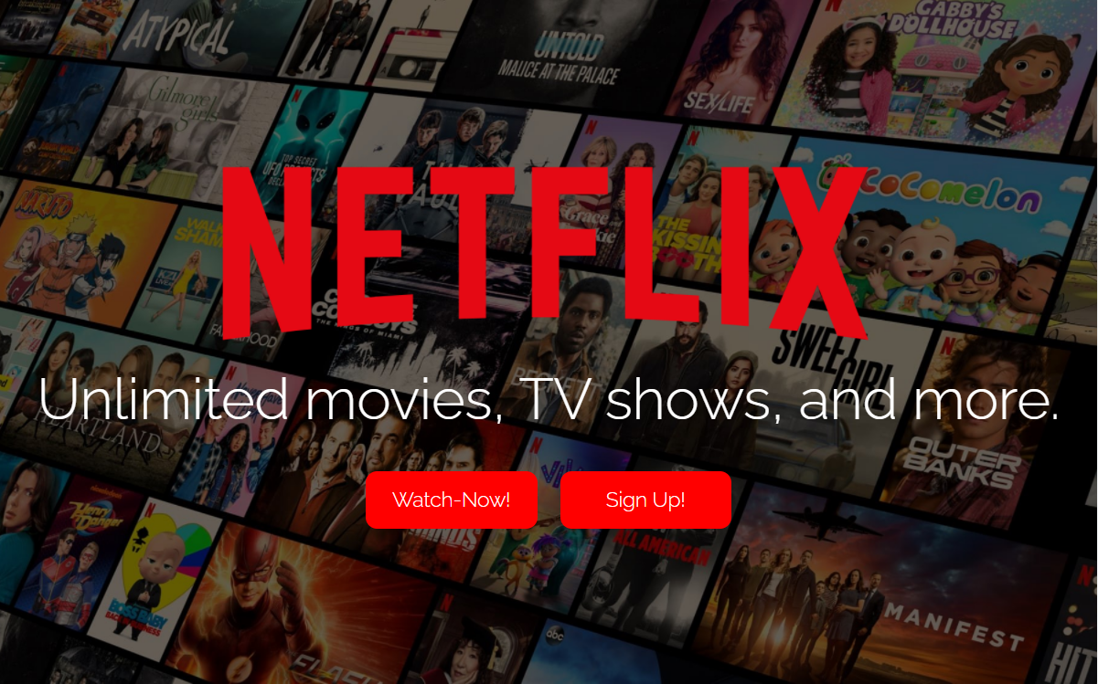 project netflix image